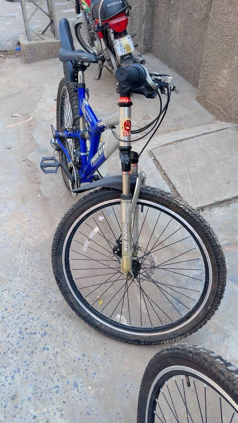 Phonix Bicycle 14