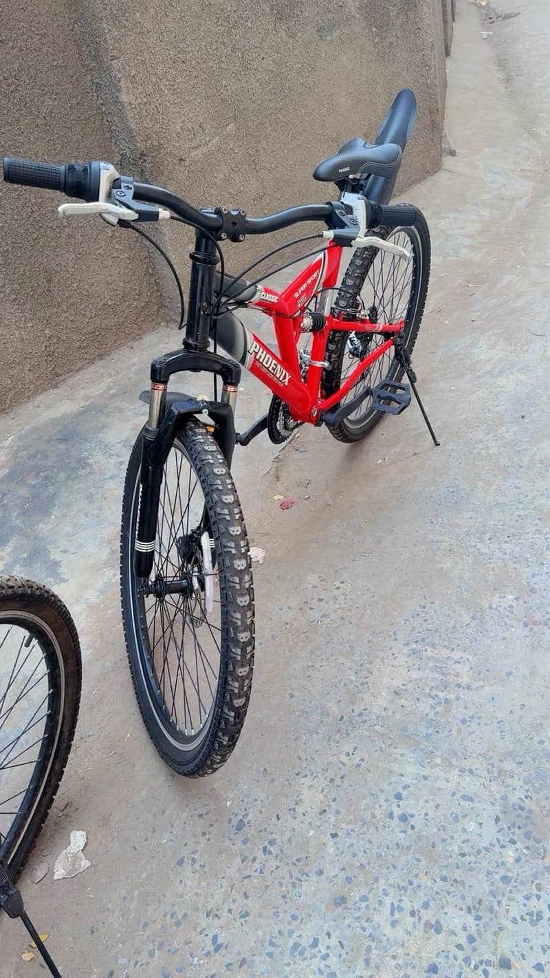 Phonix Bicycle 15