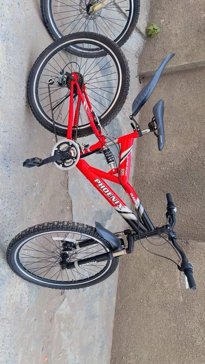 Phonix Bicycle 16
