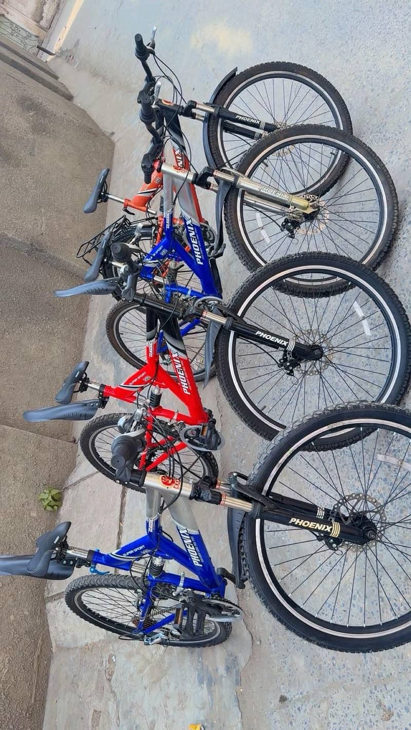 Phonix Bicycle 17