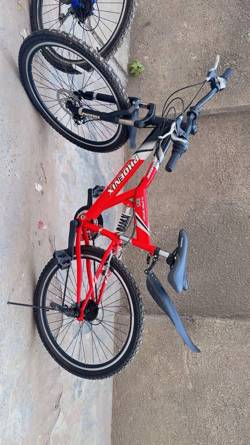 Phonix Bicycle 18