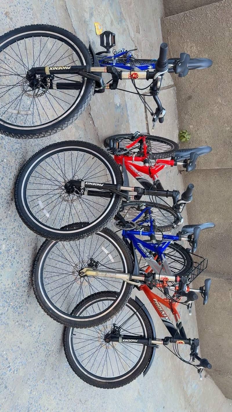 Phonix Bicycle 19