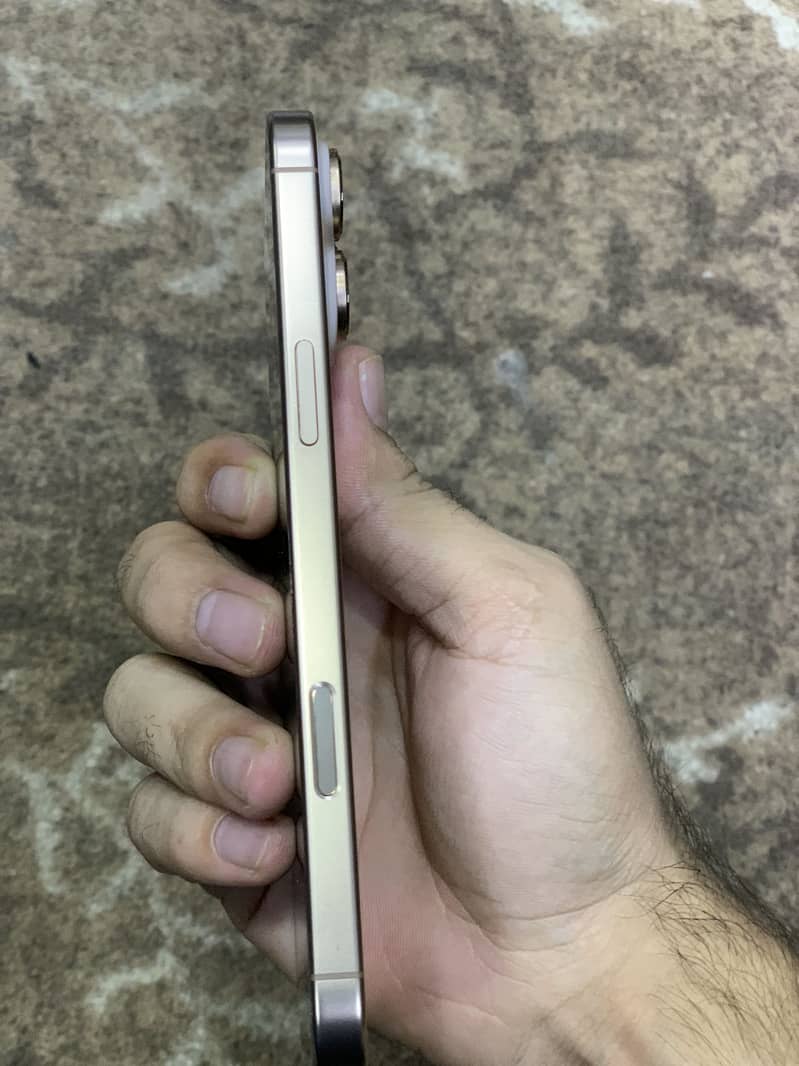 Apple iPhone 16 Pro Max 1