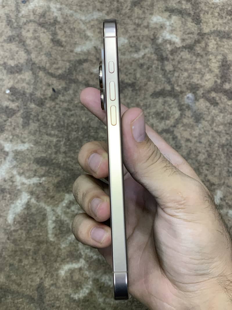 Apple iPhone 16 Pro Max 2