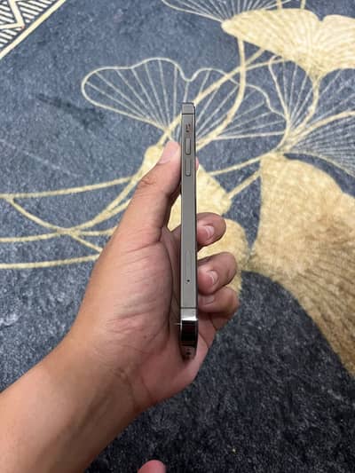 Apple iPhone 12 Pro