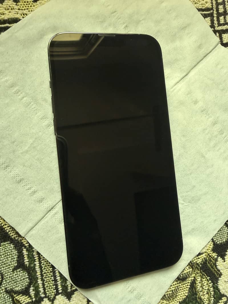 Apple iPhone 13 Pro Max 0