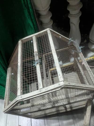 hens cage new condition 10 by 10