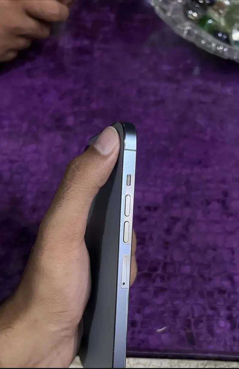 Apple iPhone 13 Pro Max 1