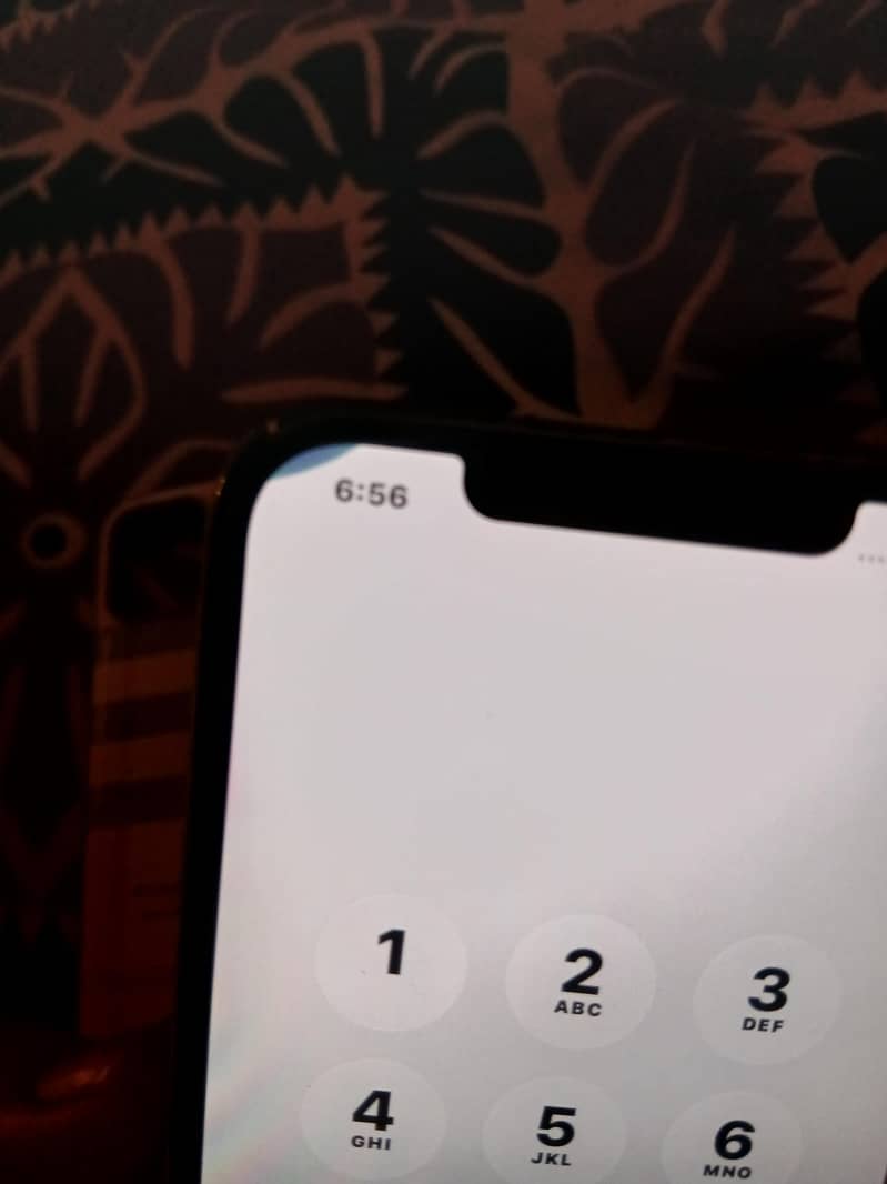 Apple iPhone 12 Pro Max 3