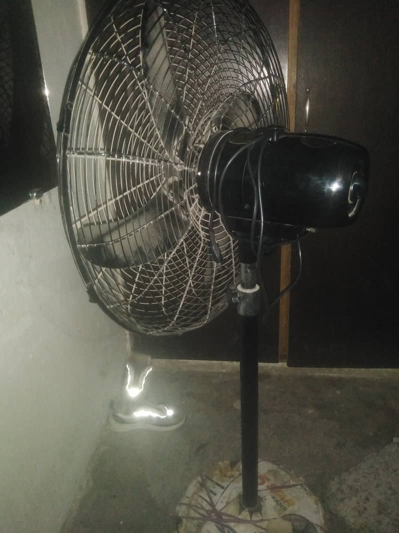Five Star Fan 1