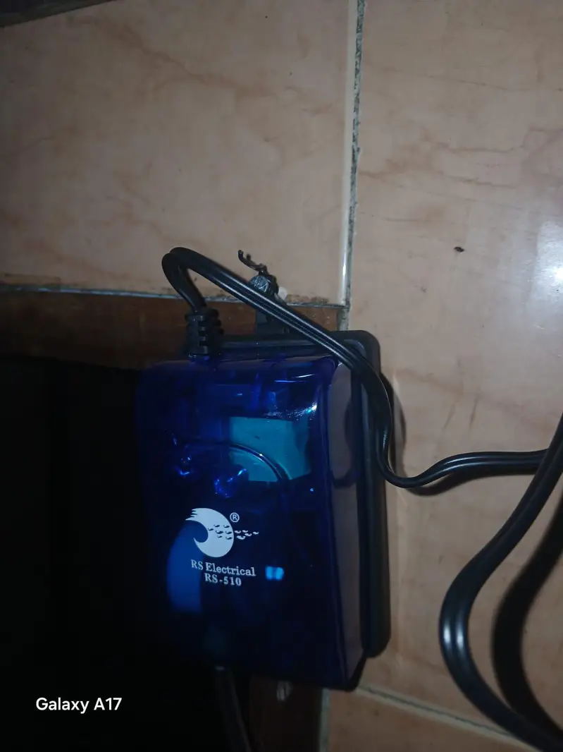 fish Aquarium — photo 2
