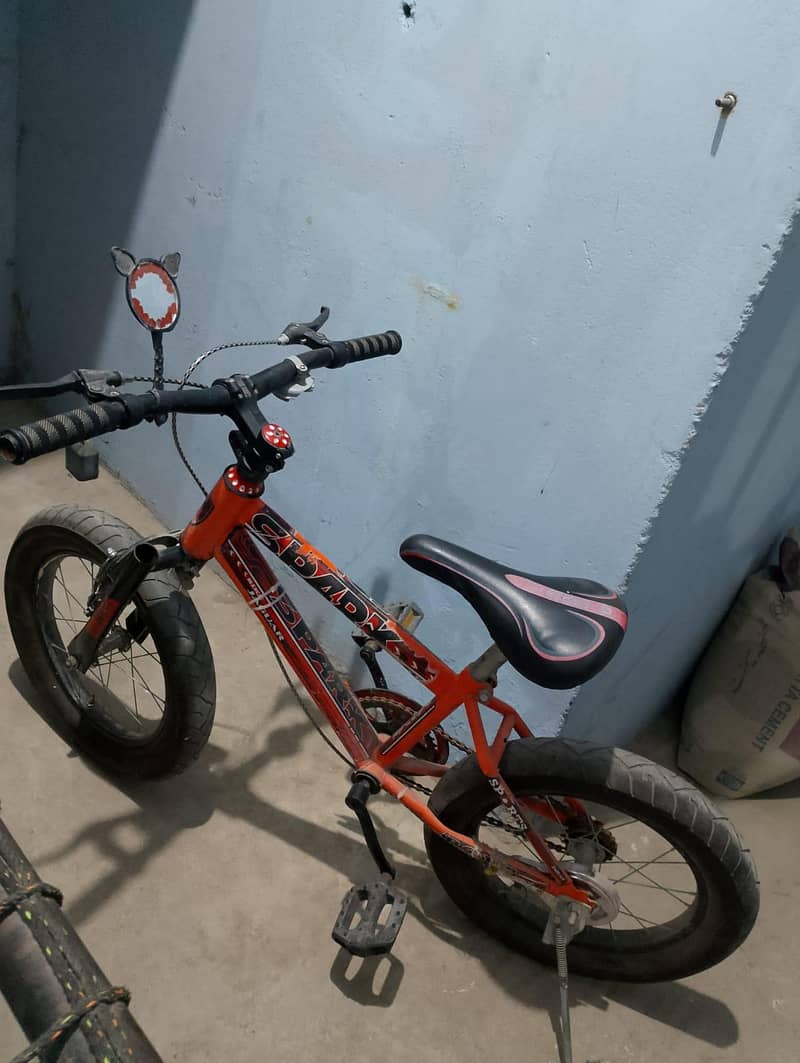 Bicycle 2