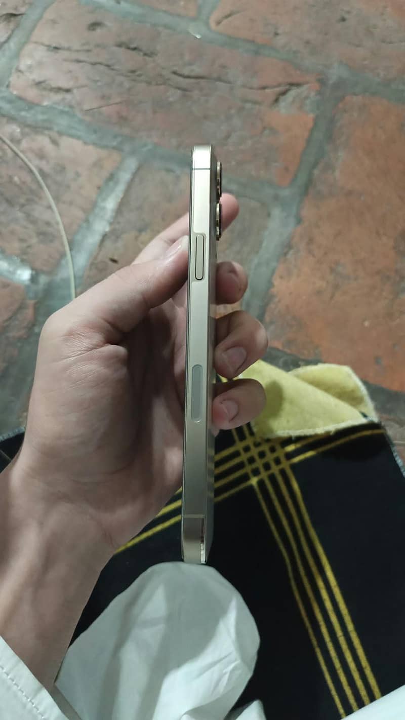 Apple iPhone 13 Pro Max 5