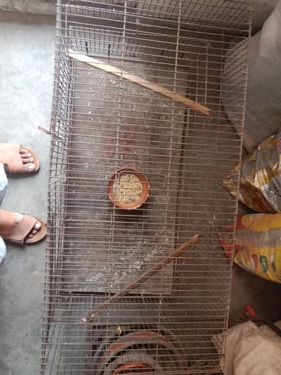 lovebird cage for sale . 03330031118 contact number