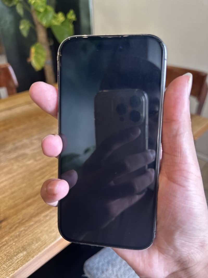 Apple iPhone 14 Pro 1