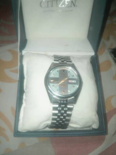 original citizen watch