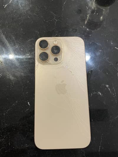 Apple iPhone 16 Pro Max back crack