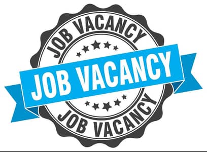 Computer Operator / Graphic Designer / Photoshop Expert / Data Entry