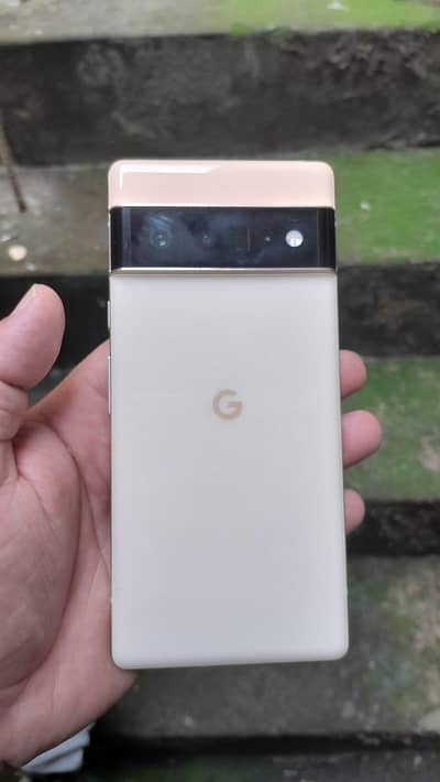 Google 6 pro Official Approved