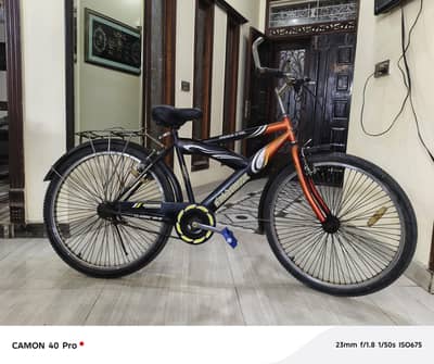 Milano Classic Steel Cycle