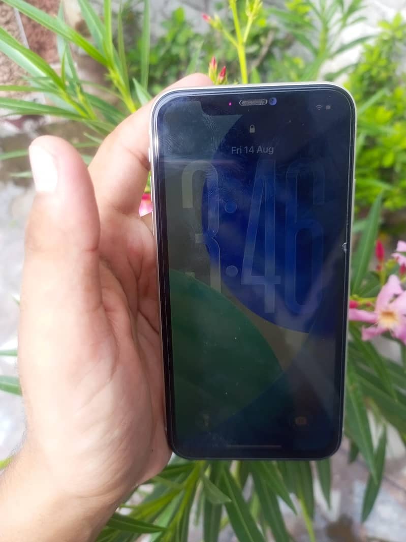 Apple iPhone 11 1