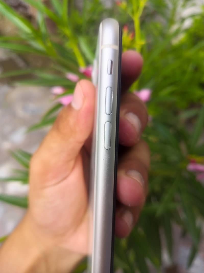 Apple iPhone 11 3
