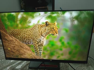 Lenovo 32 inch 4k monitor borderless