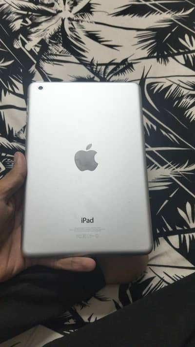 I paid mini 3