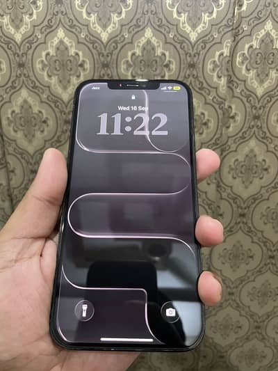 Apple iPhone 12 Pro Max