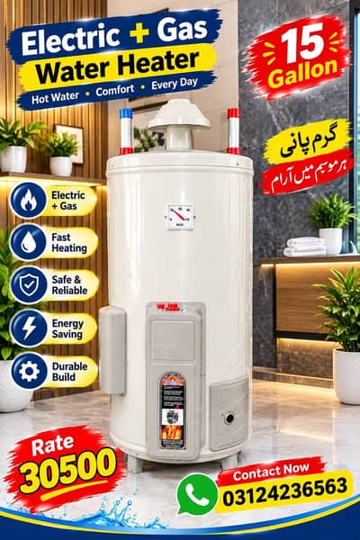 Electric And Gas (Dual) Geyser