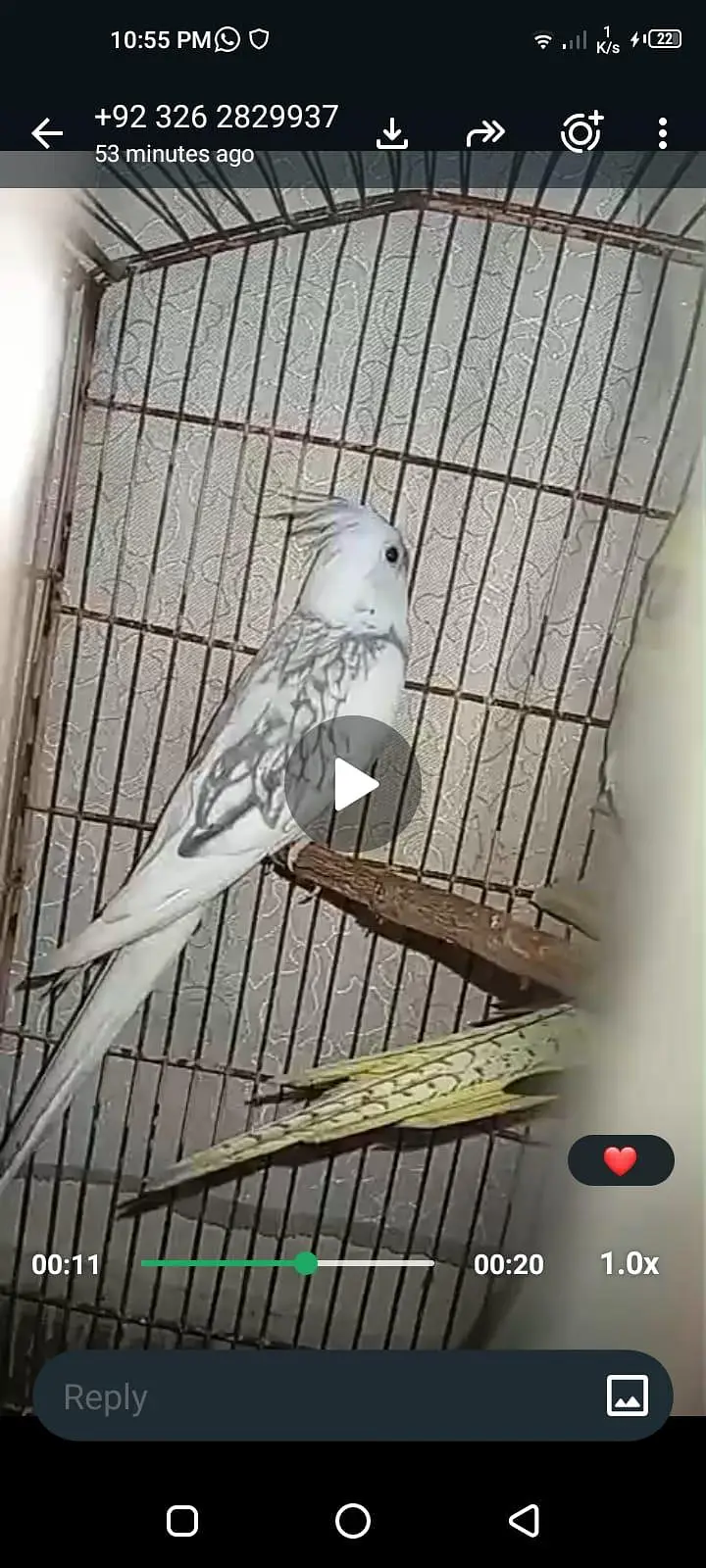 Kasi na Jo bird sale karna ha vo rabta kra surf sale kra — photo 7