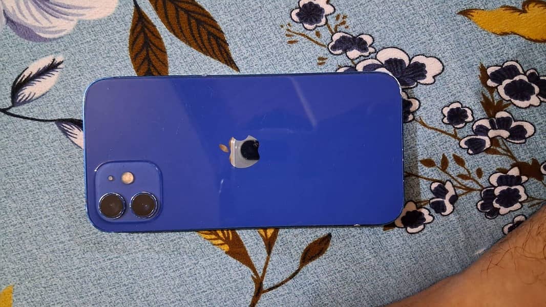 Apple iPhone 12 0