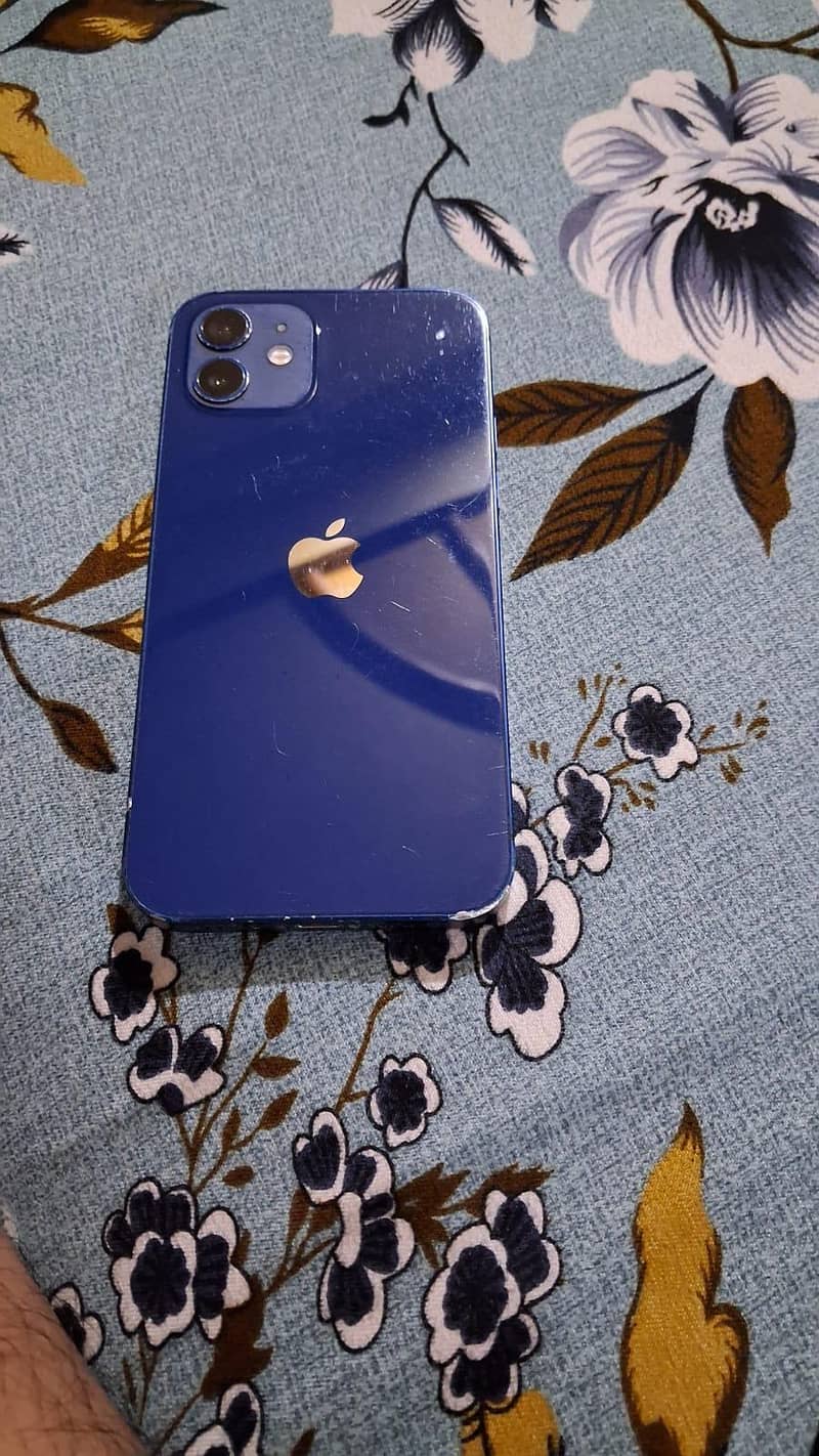 Apple iPhone 12 1