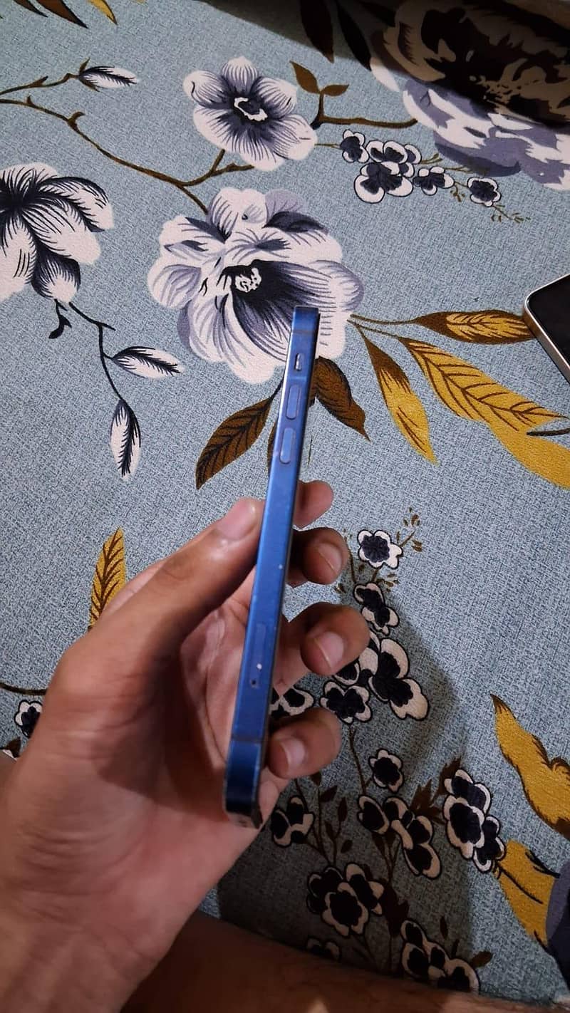 Apple iPhone 12 2