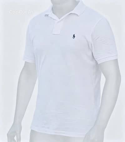 slightly used 100 % polo Ralph Lauren shirt