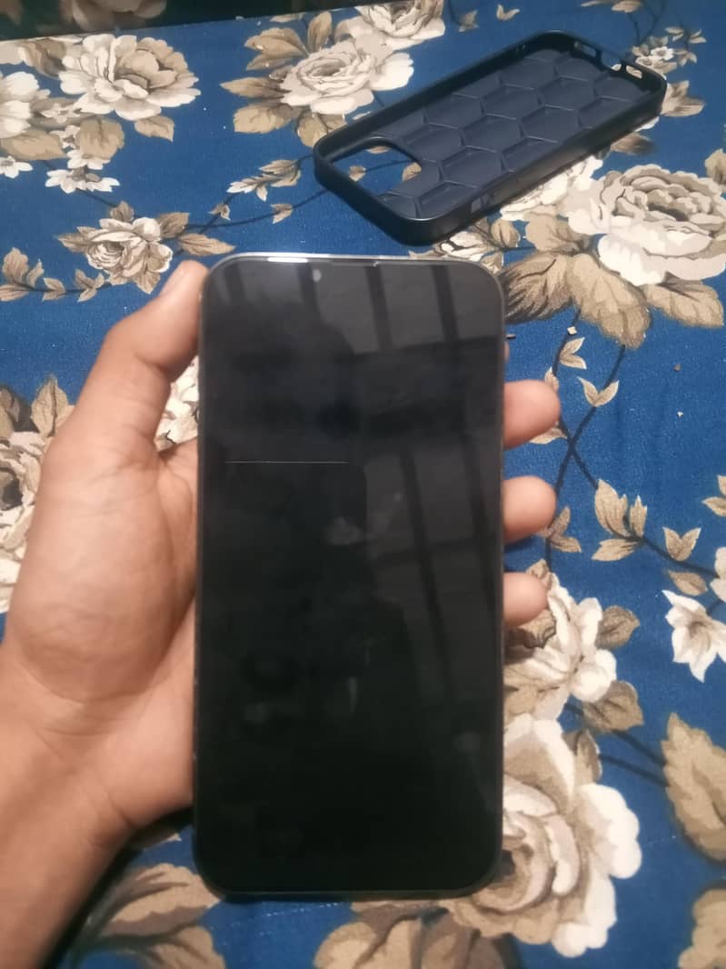 Apple iPhone 13 Pro Max 1