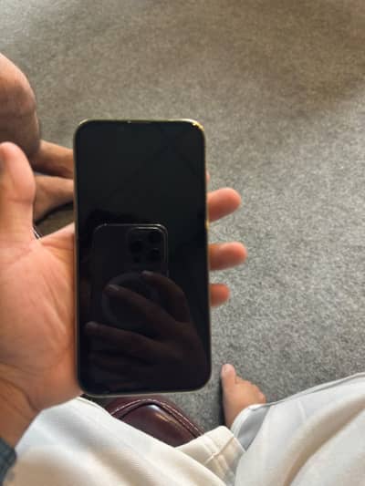 Apple iPhone 13 Pro