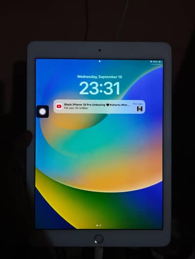 apple I pad pro 9.7 inches