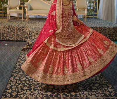 Red bridal lehnga ,full heavy gold embroidery with dupatta