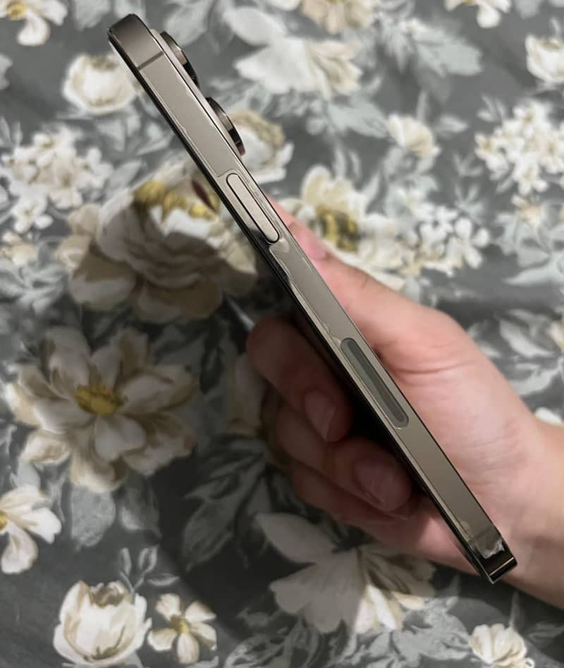 Apple iPhone 14 Pro Max 1
