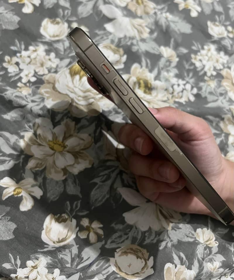 Apple iPhone 14 Pro Max 2