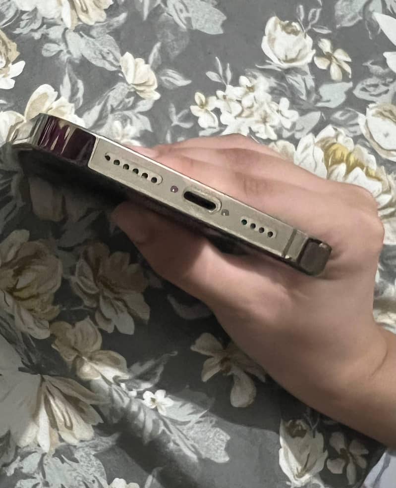 Apple iPhone 14 Pro Max 4