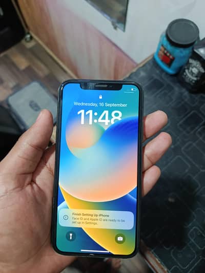 Apple iPhone X