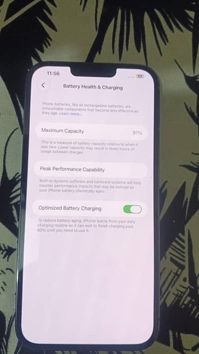 Apple iPhone 13 Pro Max