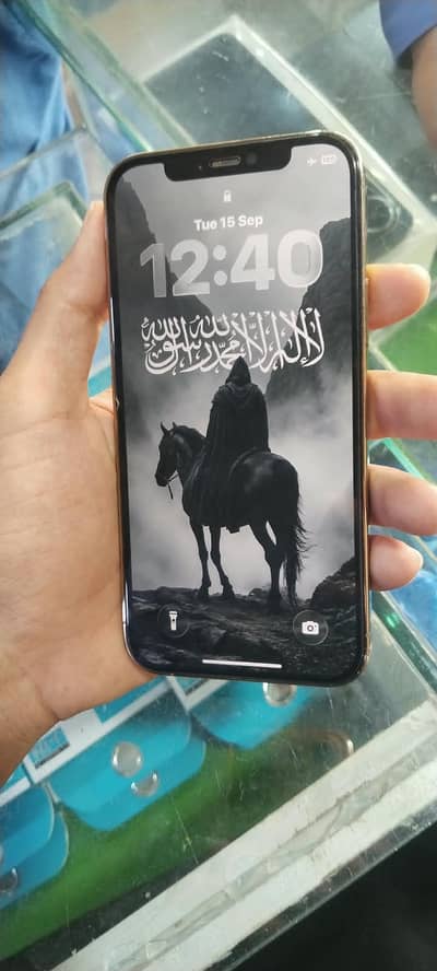 12 pro factory unlock  256gb