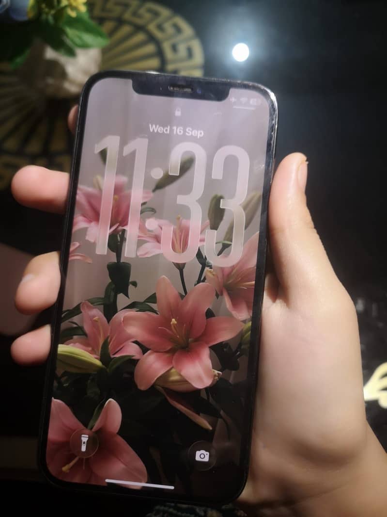 Apple iPhone 12 Pro 1