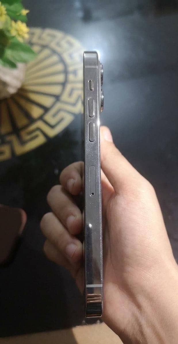 Apple iPhone 12 Pro 6