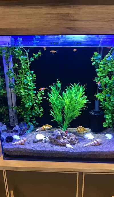 2x2x1 feet large aquarium with scratch less or crack less condition