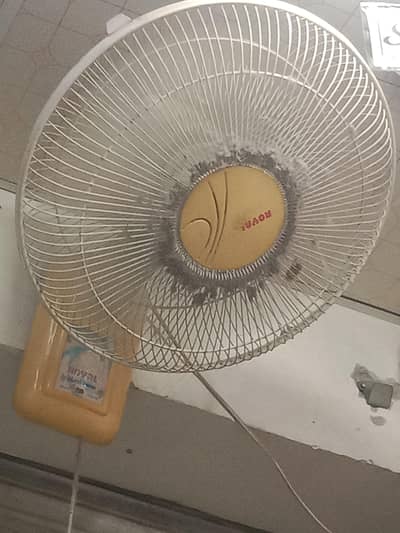 royal fan available for sale