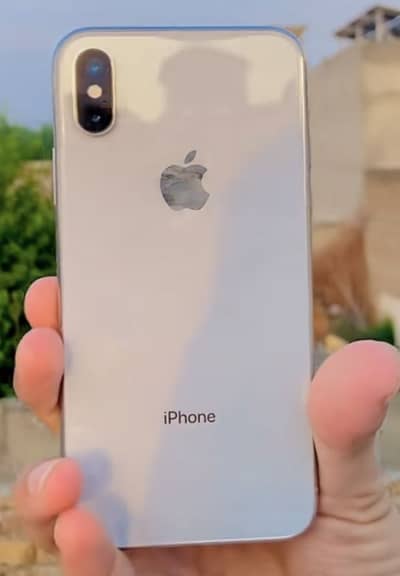 Apple iPhone X
